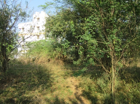 133 Anks East Face Plot for Sale in Swarnamukhi Nagar, Chandragiri